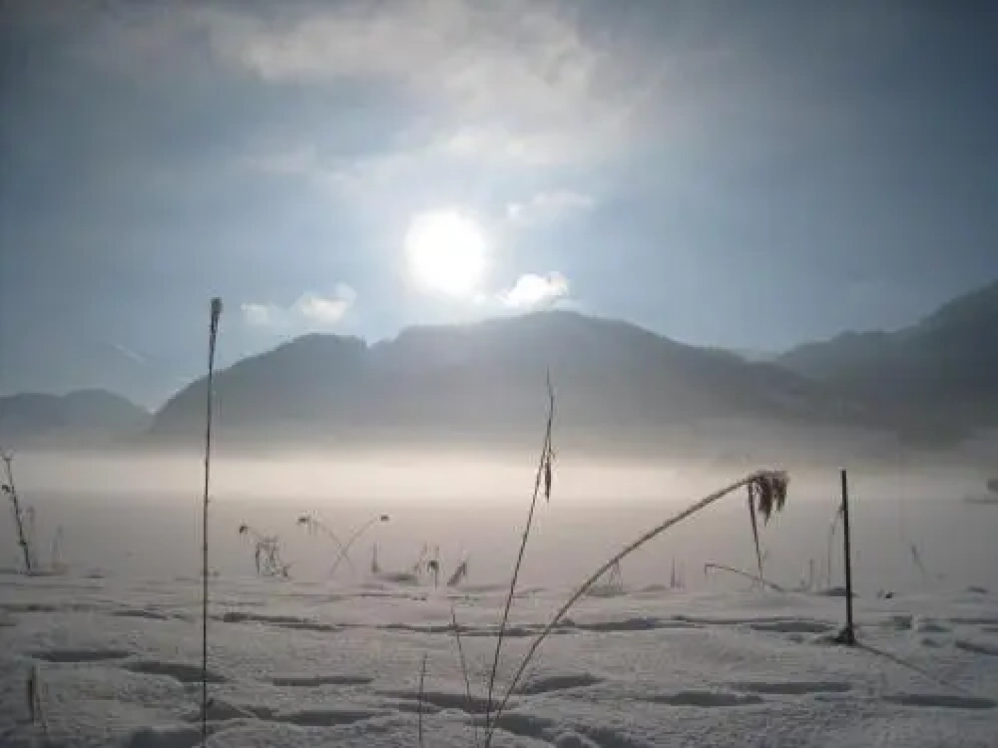 Apartments Tirolerhaus