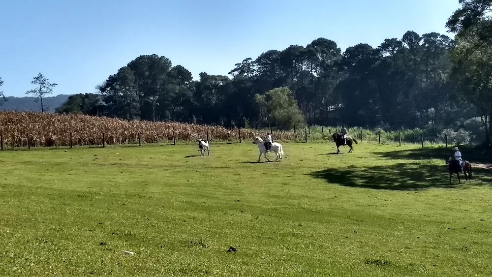 Pousada Centro Equestre Camila Sais