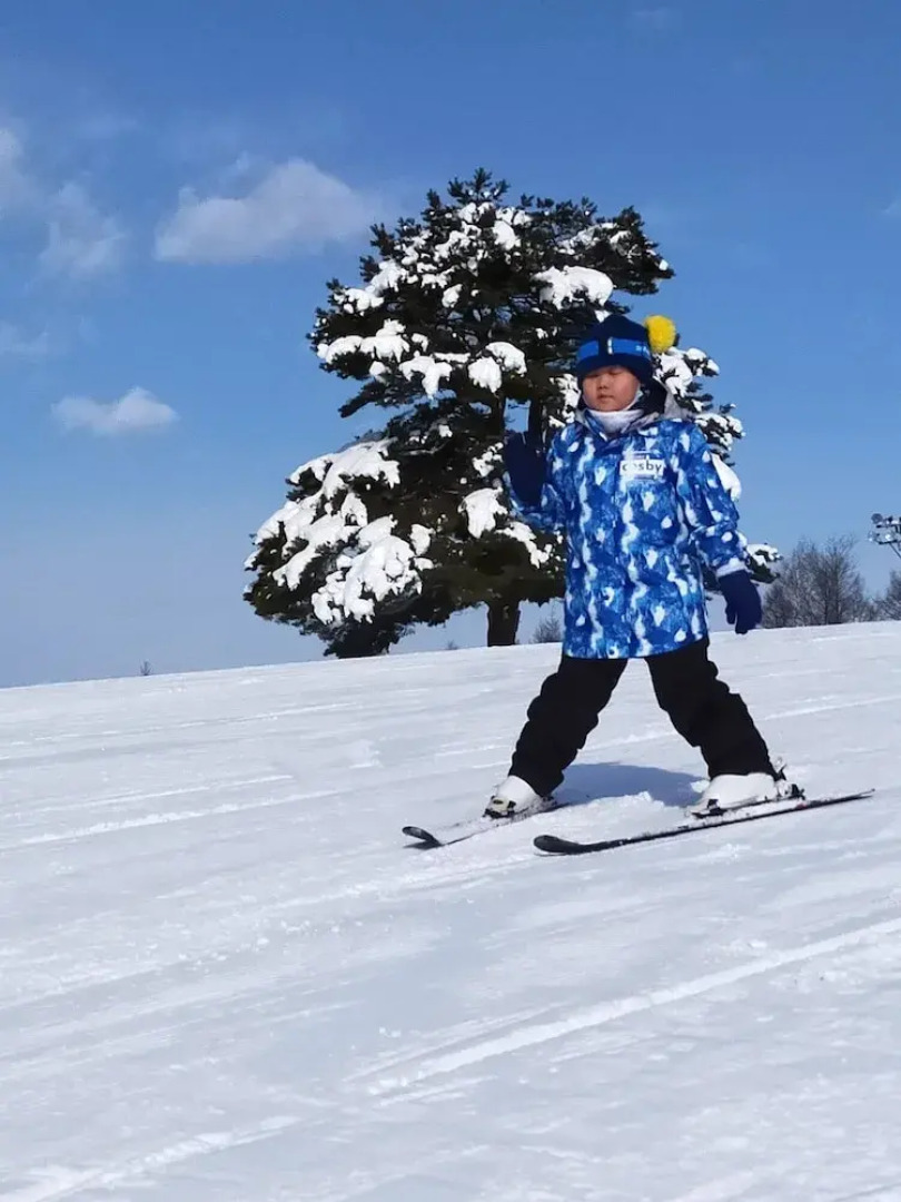 Madarao Mountain Lodge