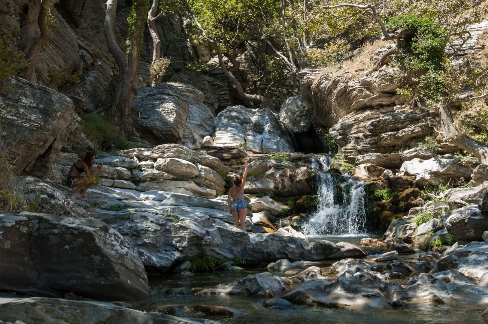 Venus Beach Bungalows Hotel