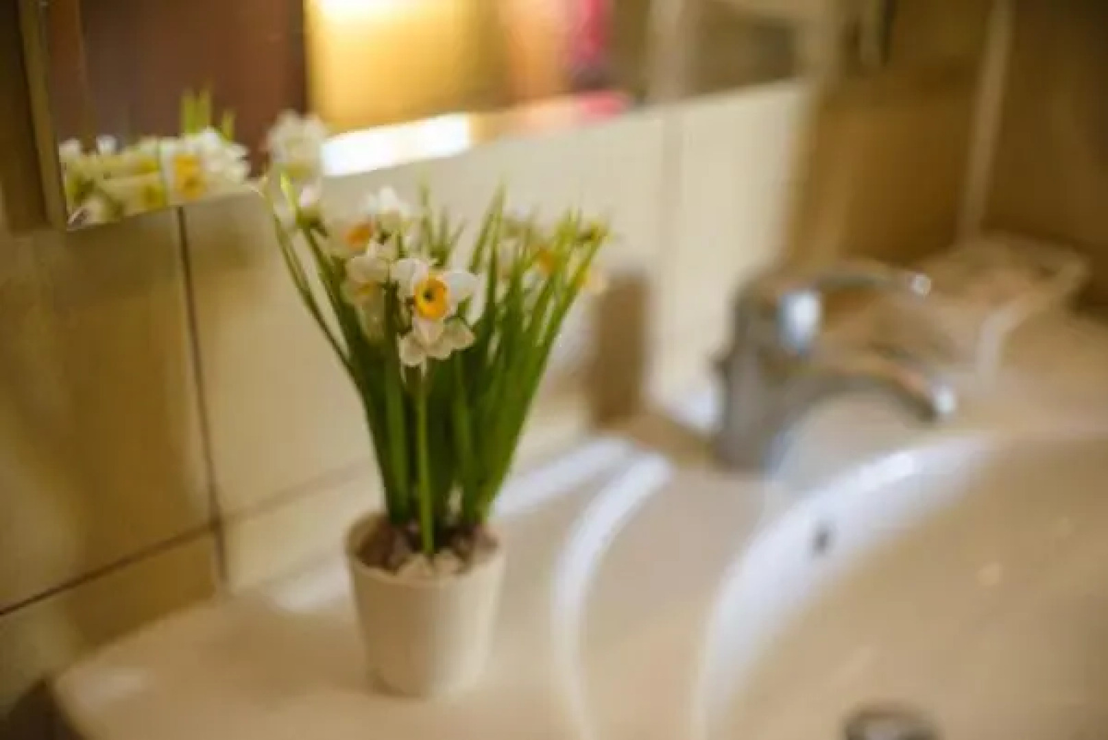 Hotel-Restaurant Lyube Plus