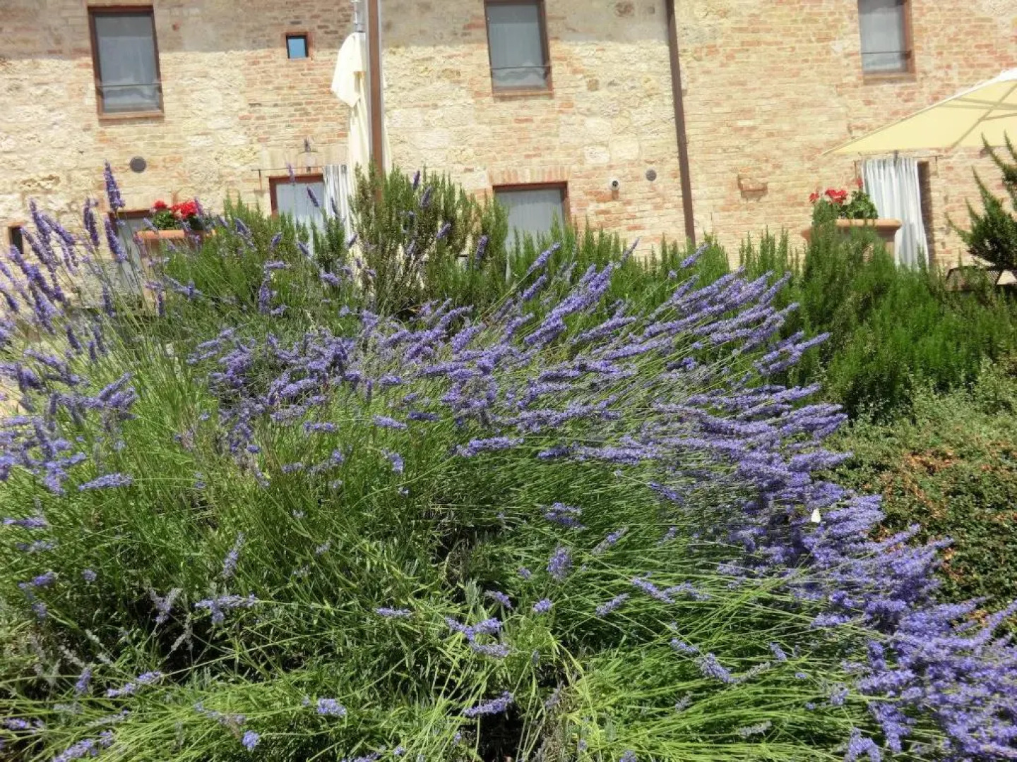 La Pieve di San Martino