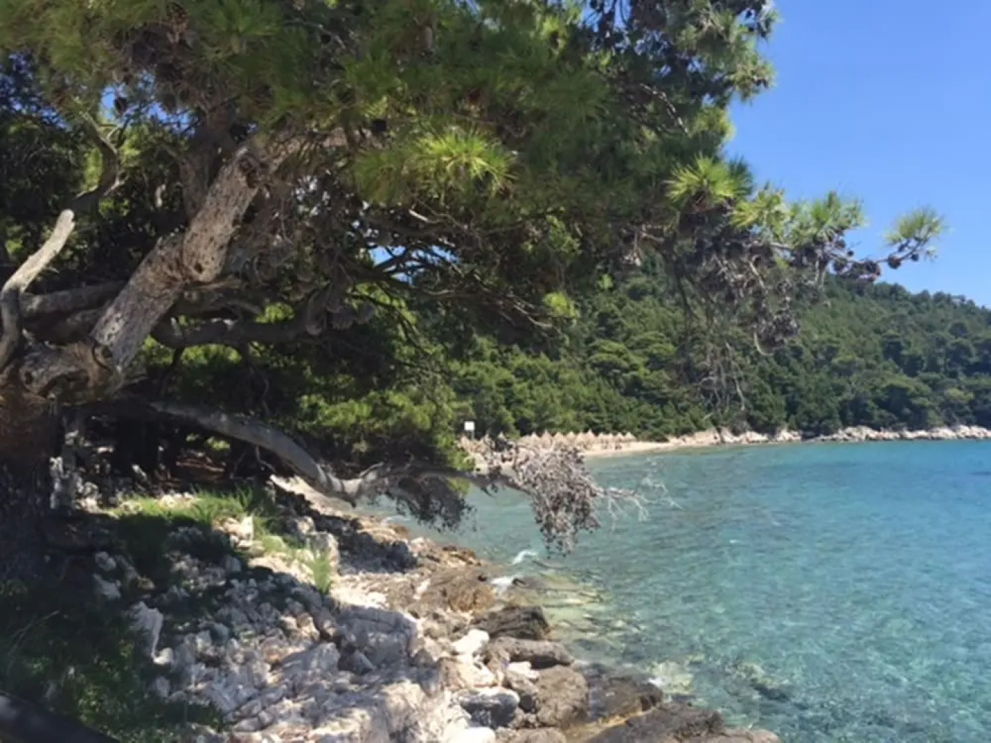 Boutique Pine Tree Resort Luxury Aparments & Restaurant