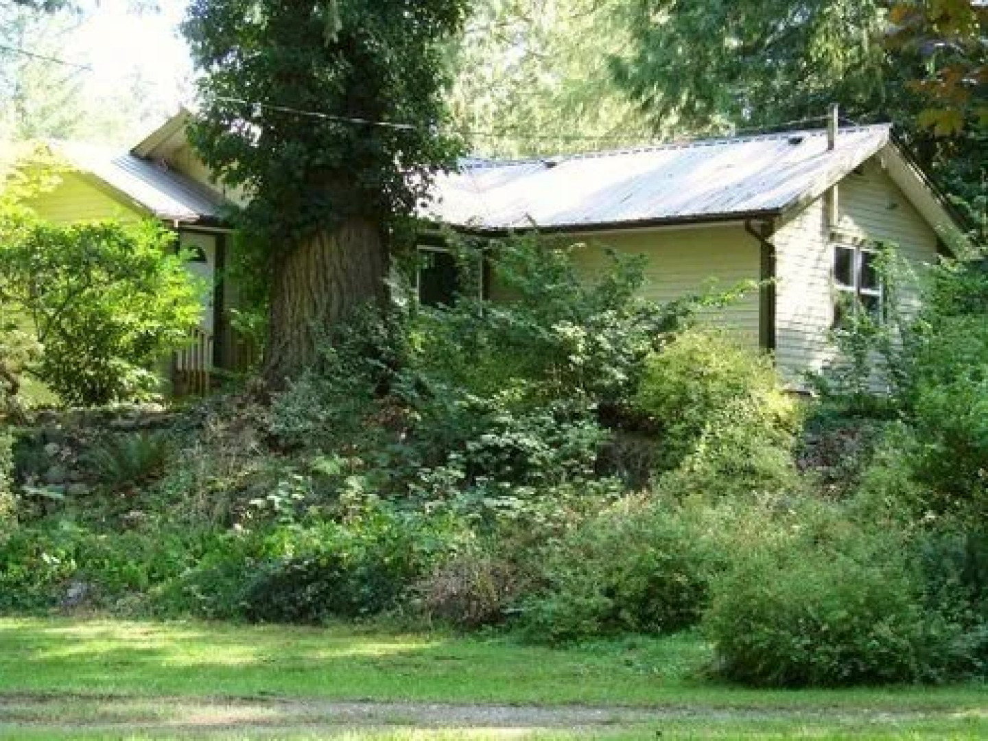 Cabins and Campground at Cultus Lake Park
