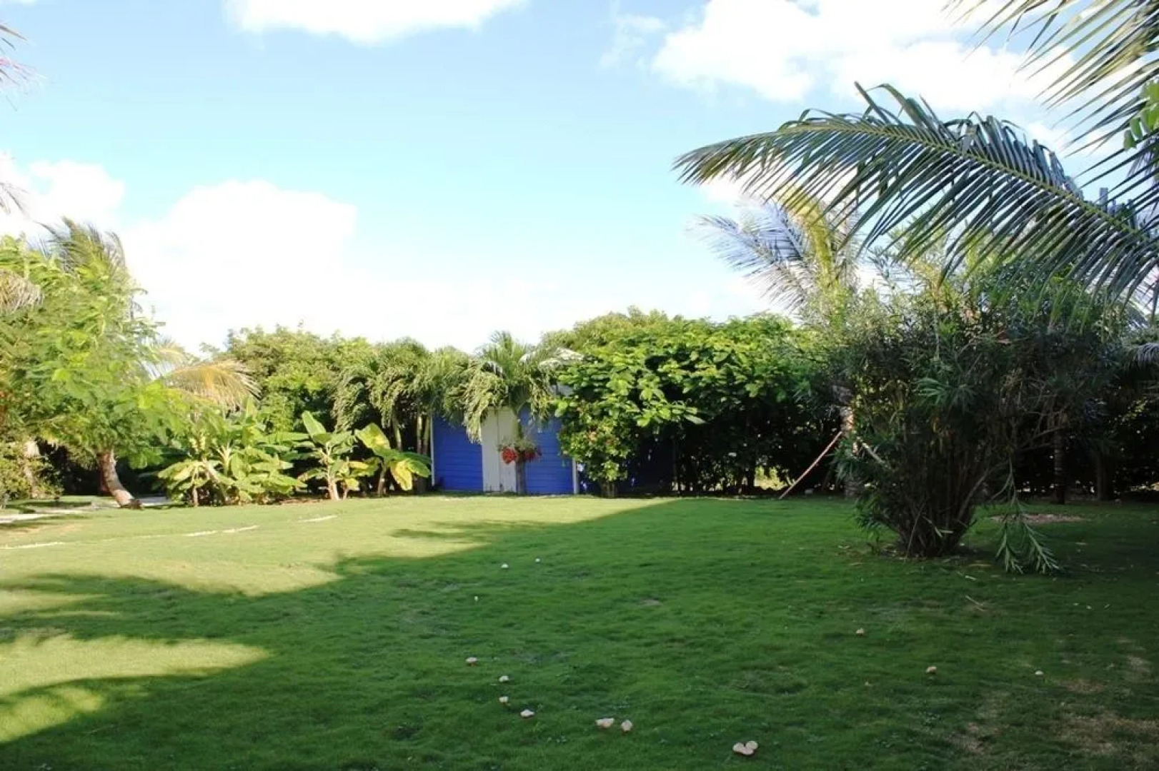 Rum & Coconuts Villa