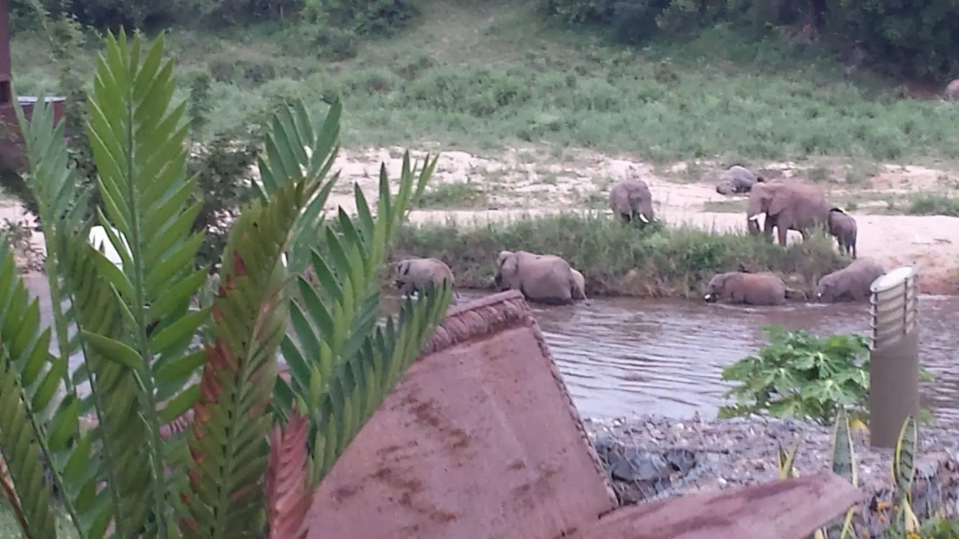 River House Bush and Safari Lodge