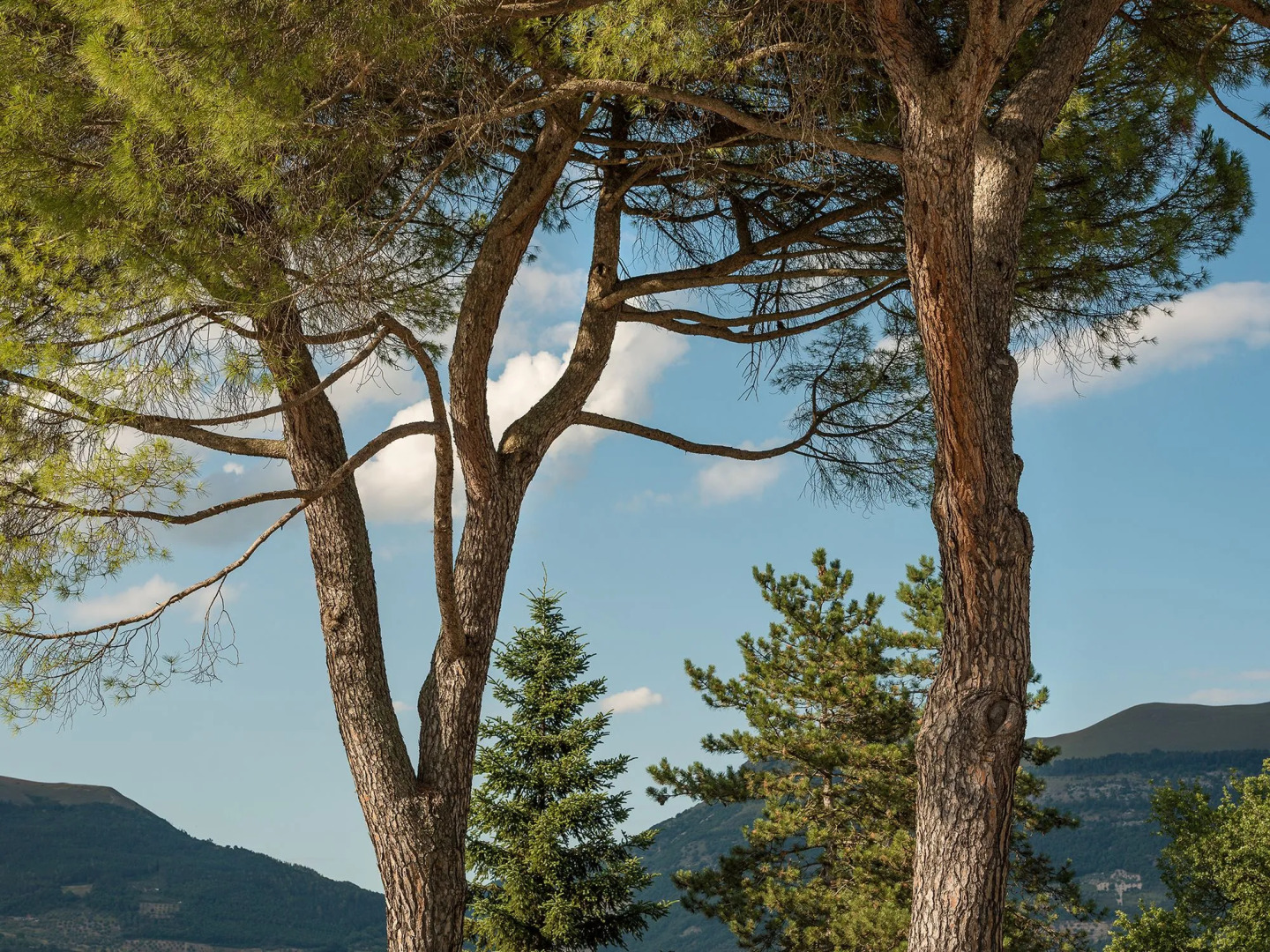 Hotel Villa Montegranelli