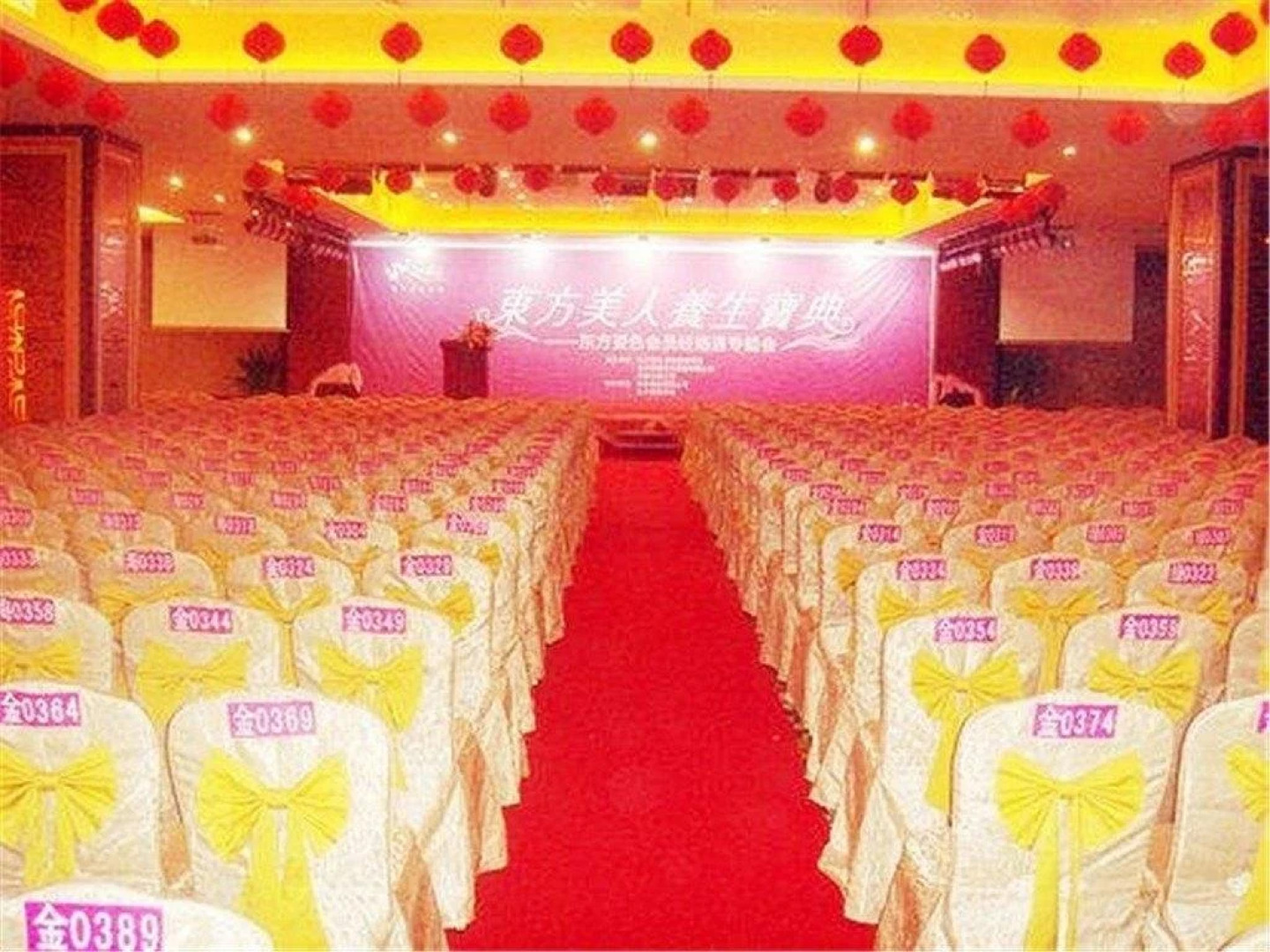 Hafree Internationall