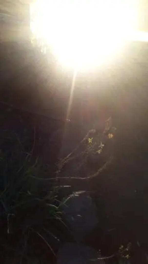 Olive Hill Country Lodge