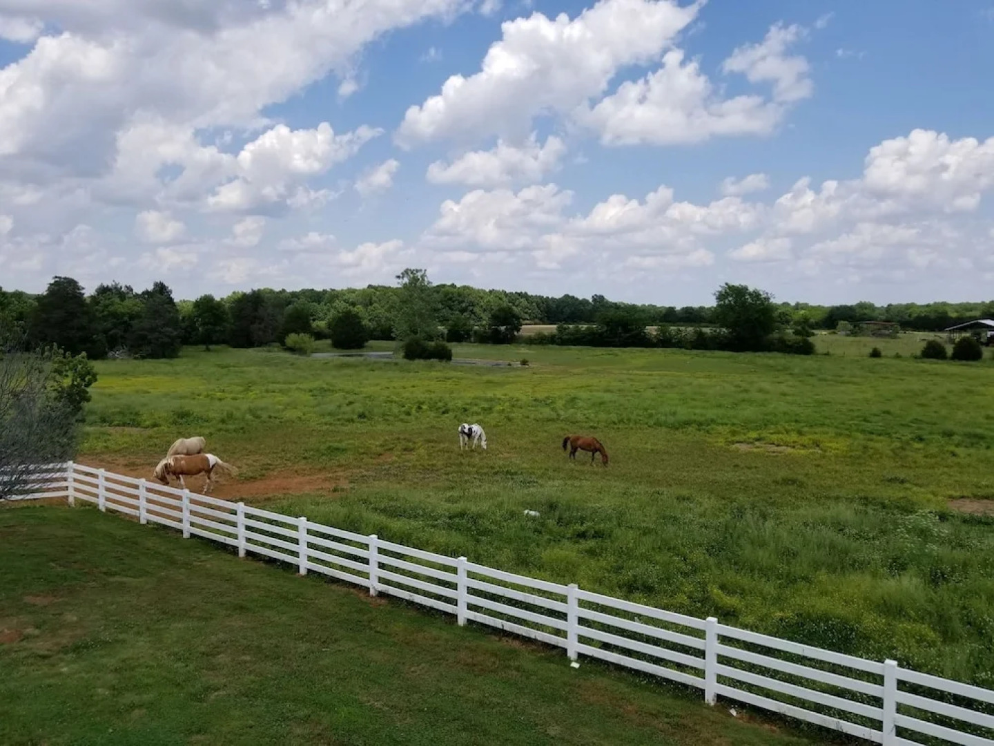 Magnolia Plantation Bed and Breakfast