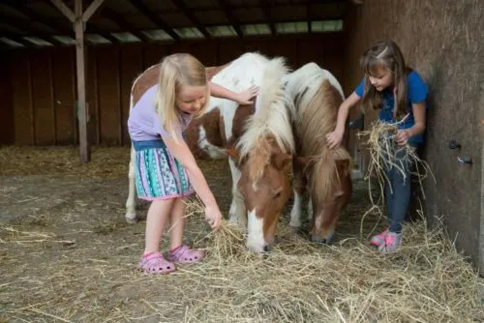 Campingpark Gitzenweiler Hof