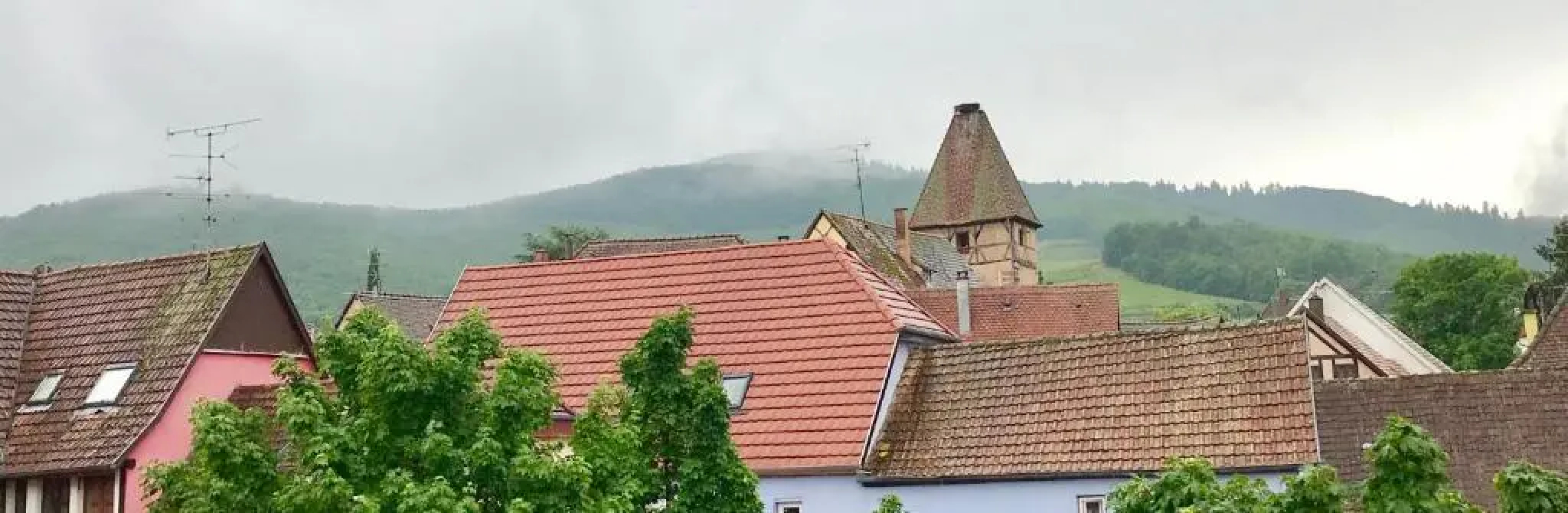 Aux Deux Cigognes Ammerschwihr