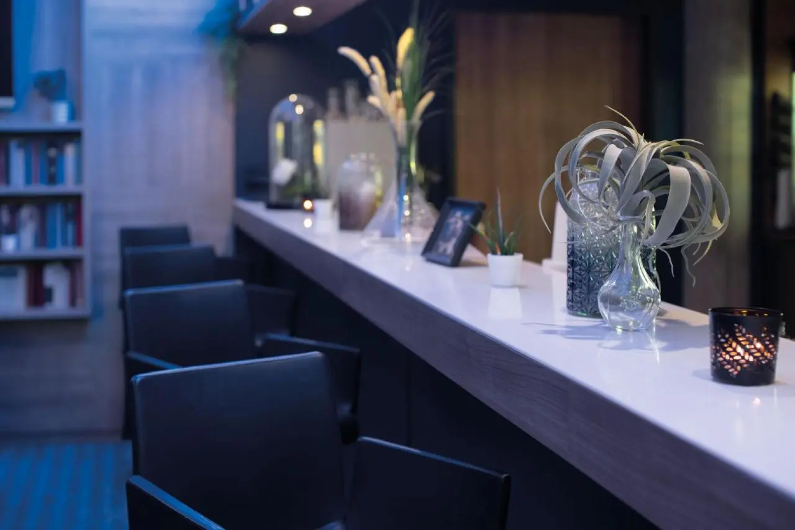 Seminaris CampusHotel Berlin