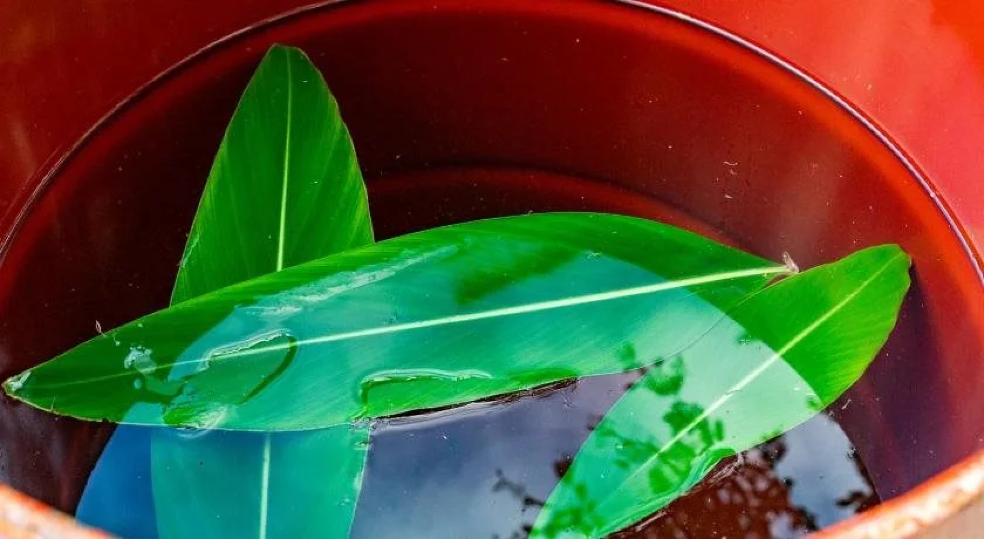 Nakijin Kominkanoyado Tsubameya