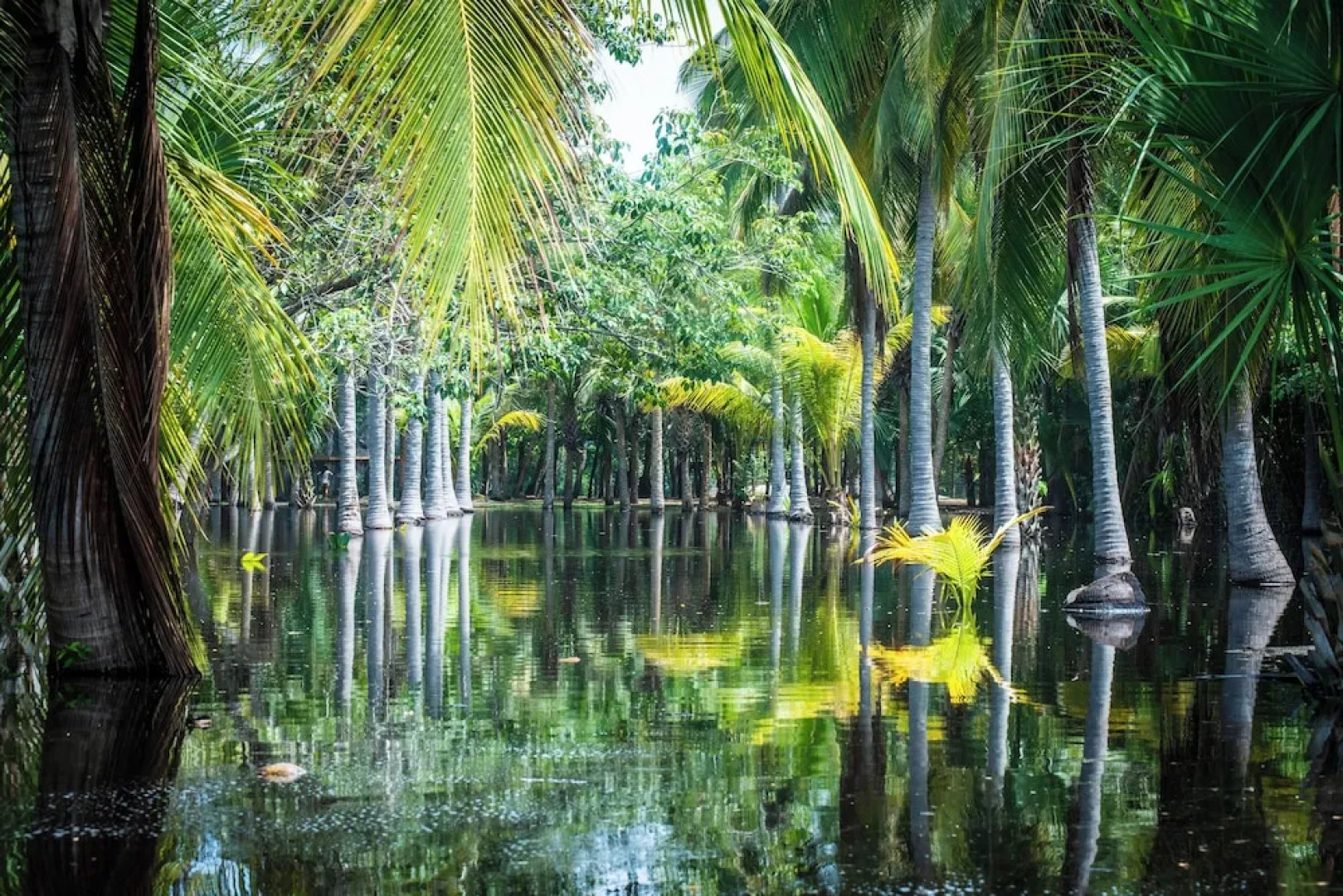 La Alberca Boutique Hotel