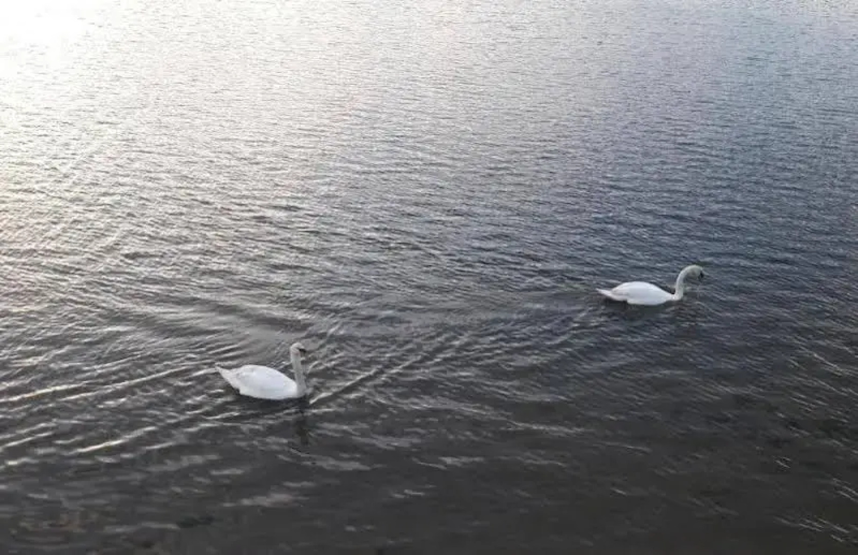 Hotel Playa Las Sinas