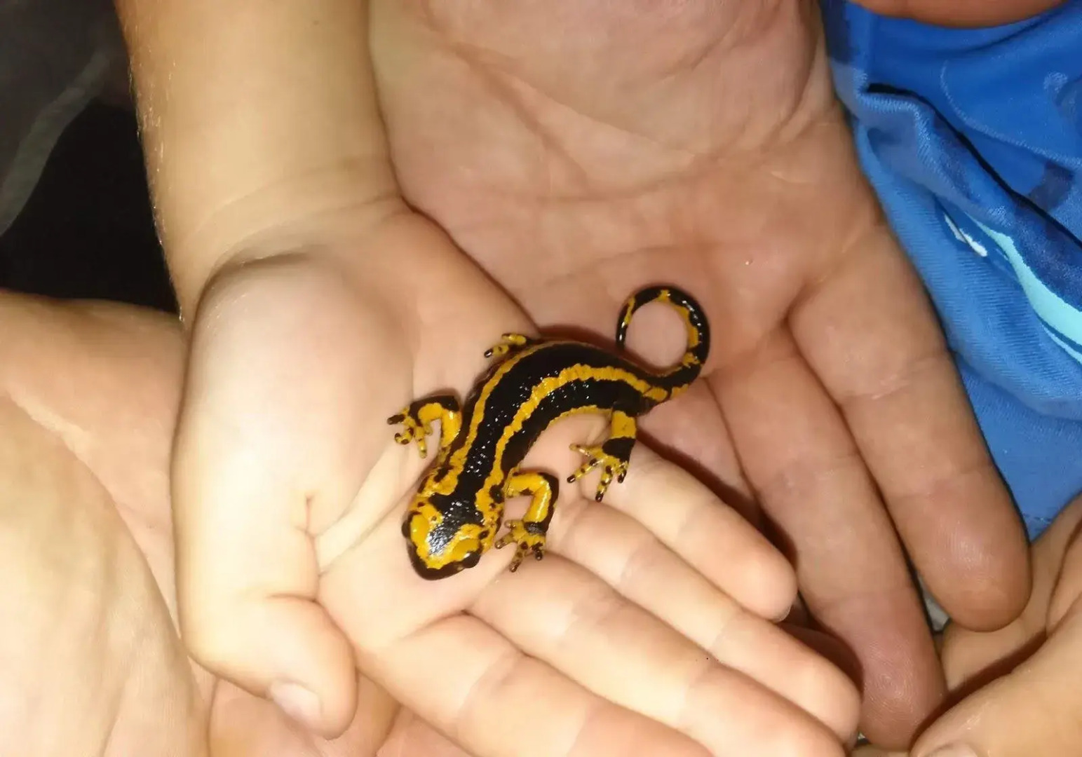 Apartamentos Rurales Casa El Caminero