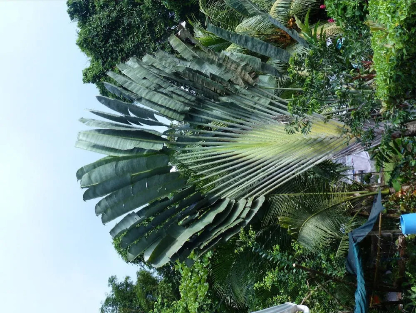 Cabinas Casa Miriam Drake Bay