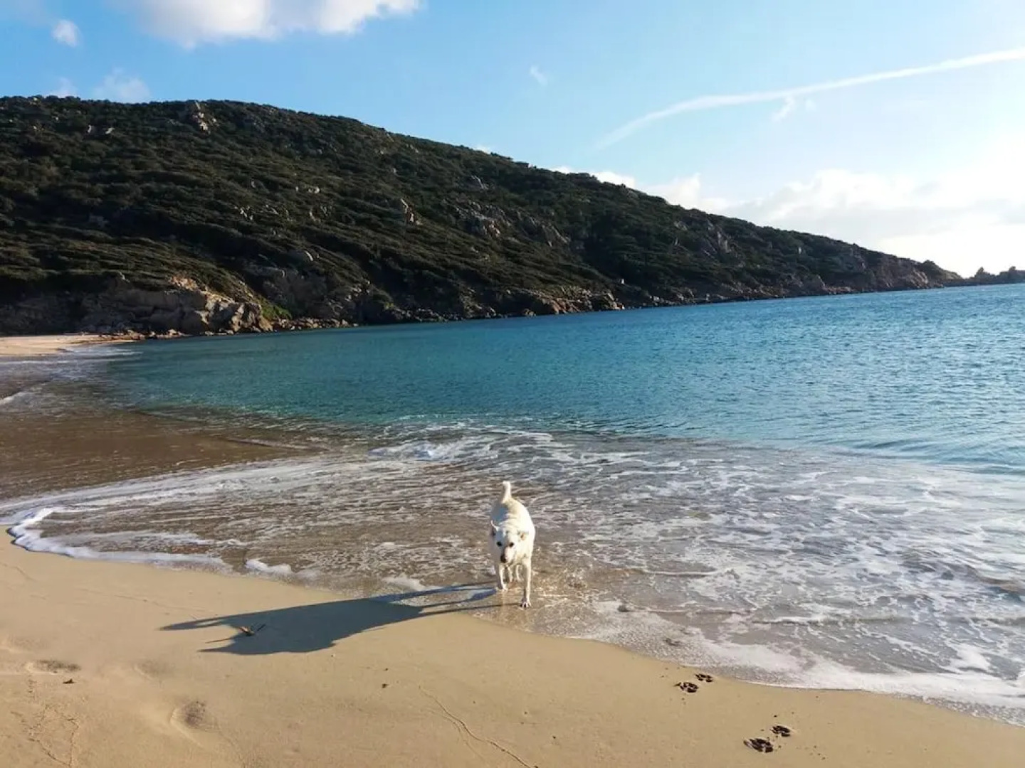 House With 3 Bedrooms In Sartene With Wifi