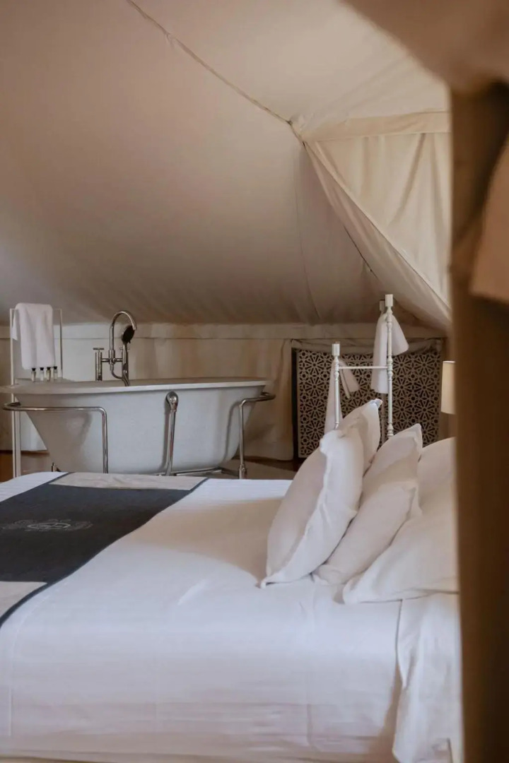 Lesic Dimitri Palace