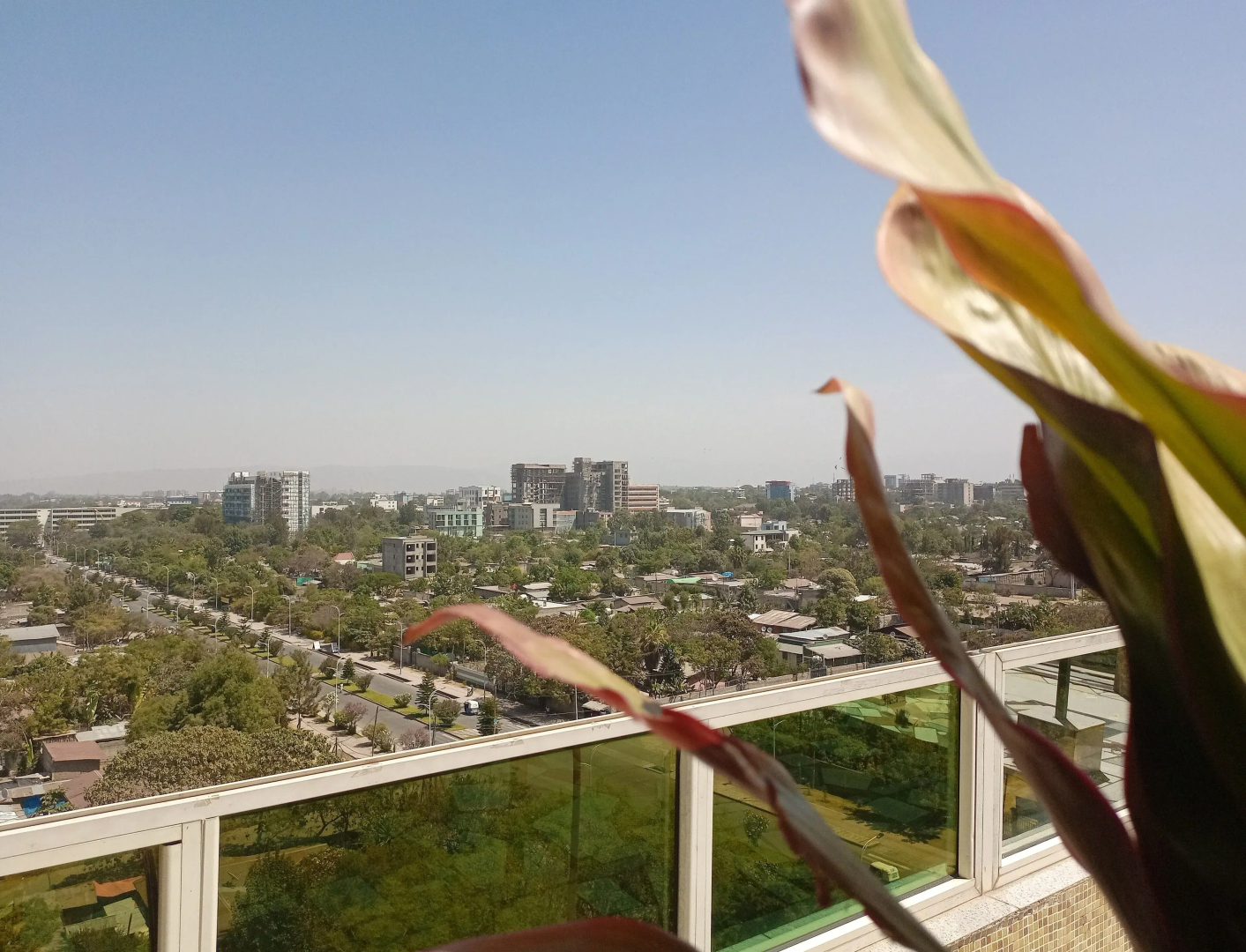 Central Hawassa hotel
