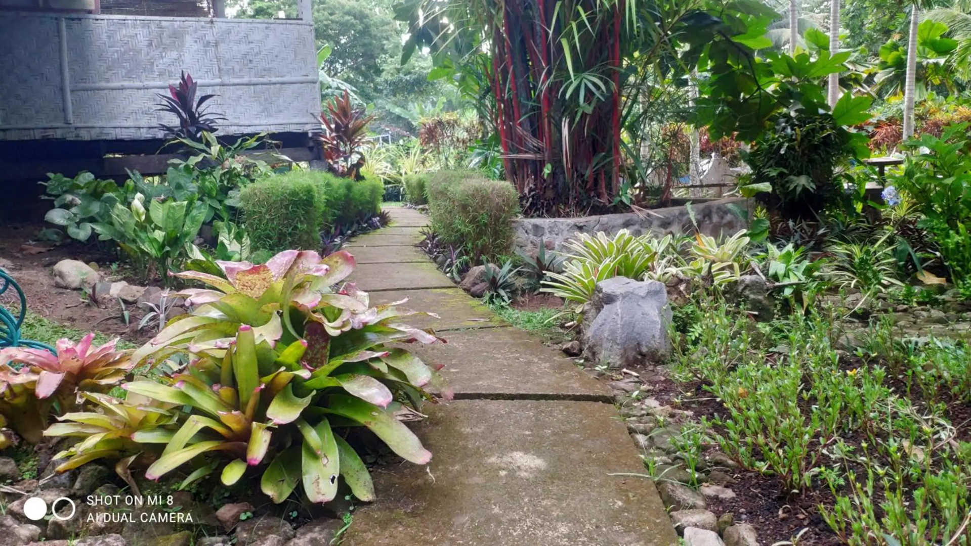 Sun House Rental