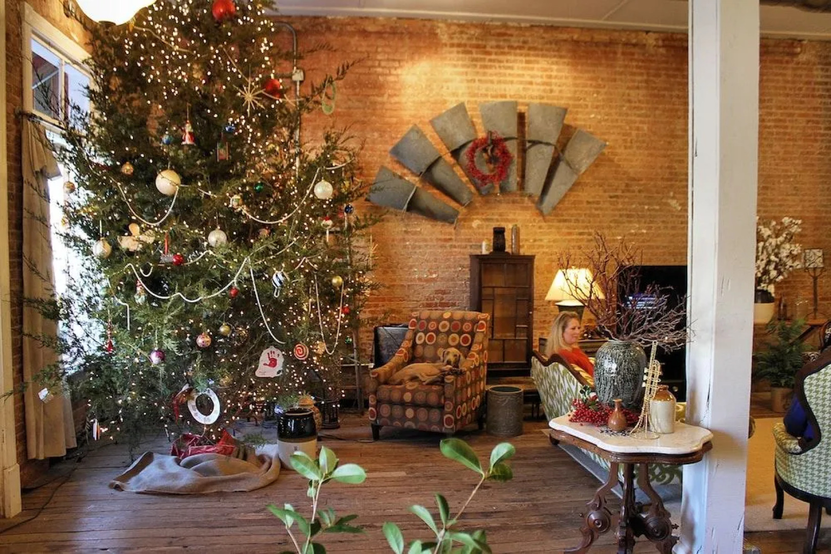 Wild Daisy Farm Bed & Breakfast