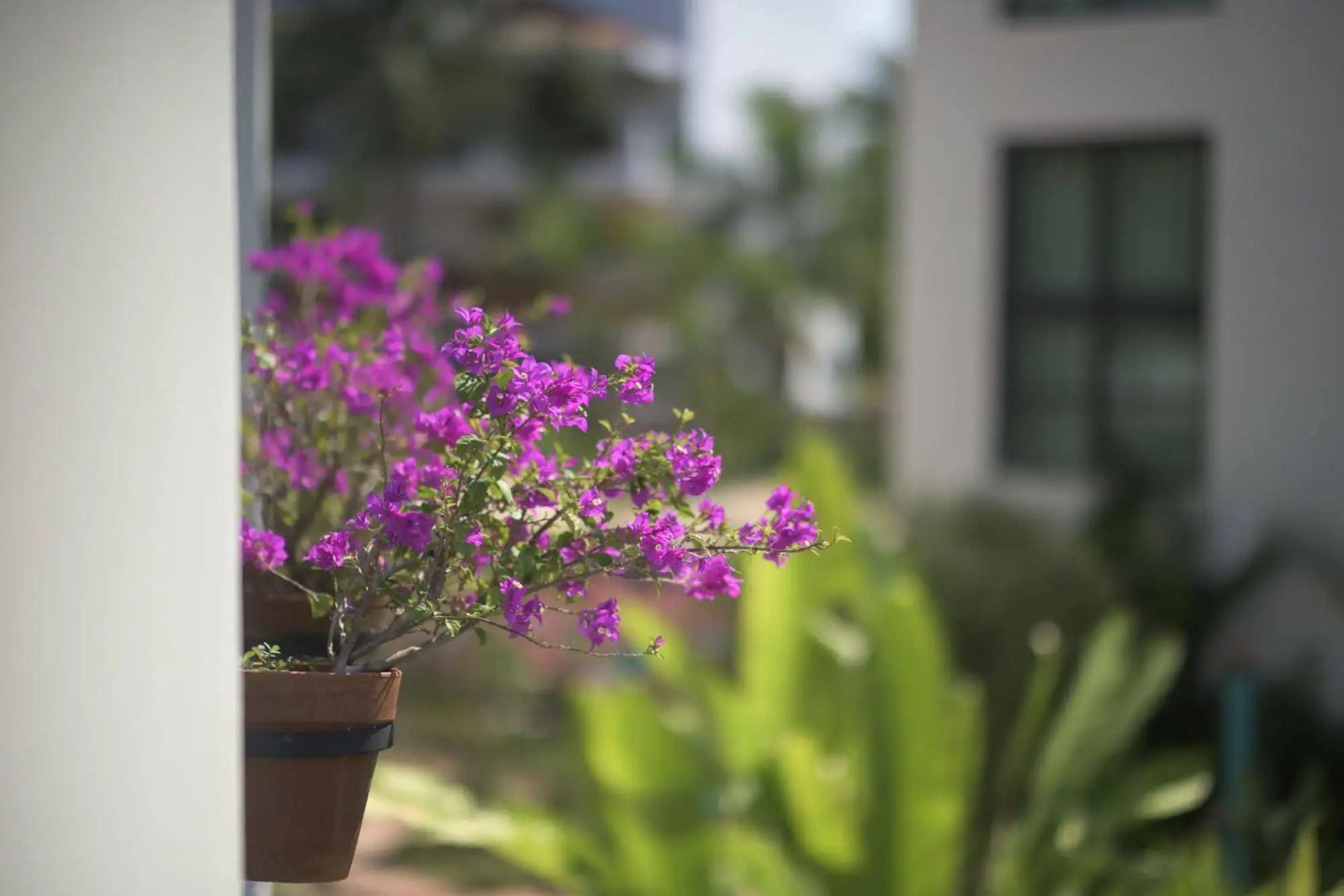 San Trópico Boutique Hotel & Peaceful Escape