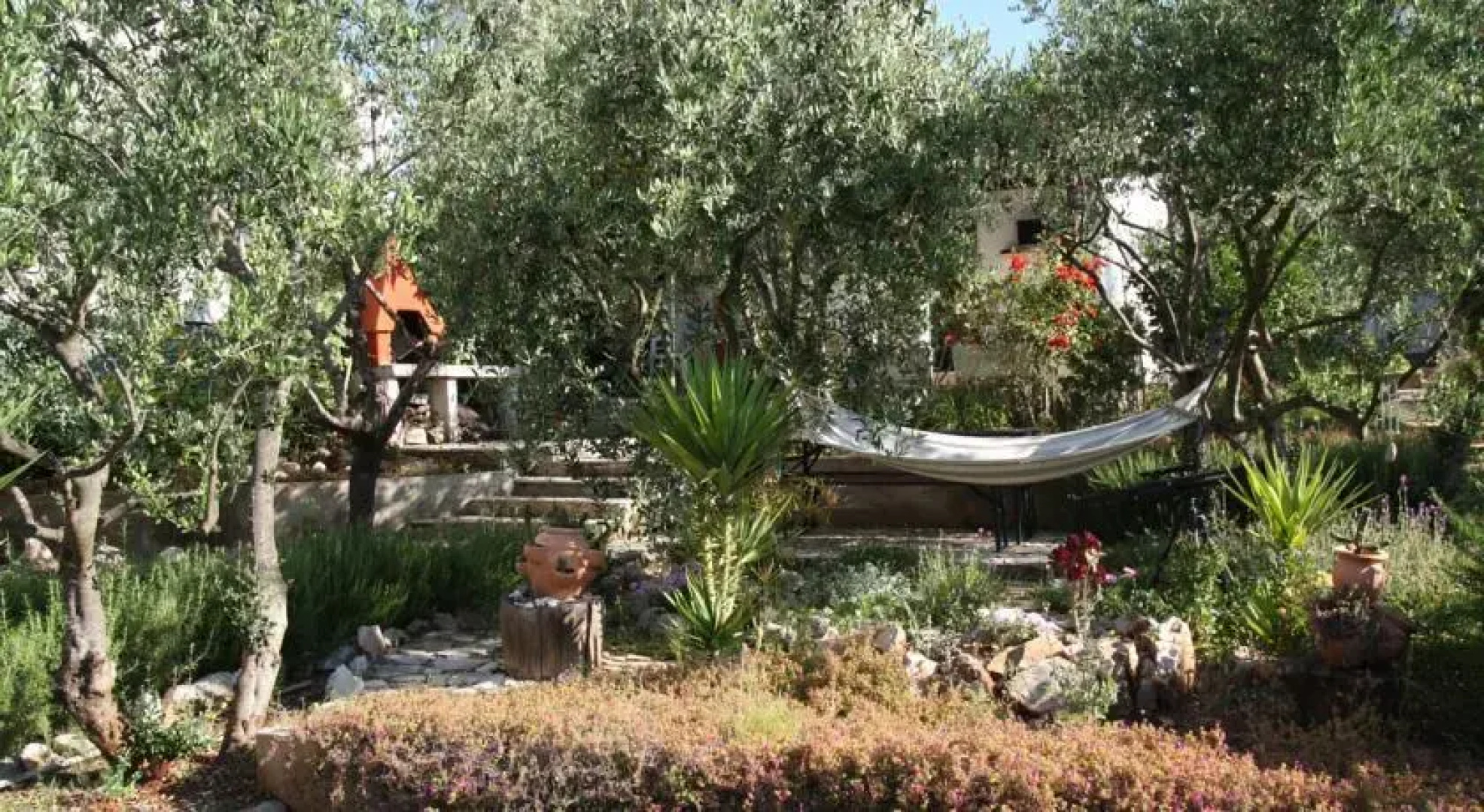 House Oliva