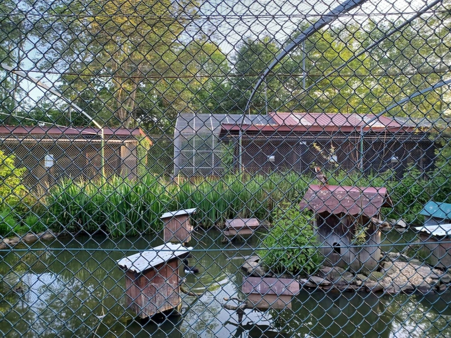 Schones Ferienhaus mit Grossem Garten bei Stadlern