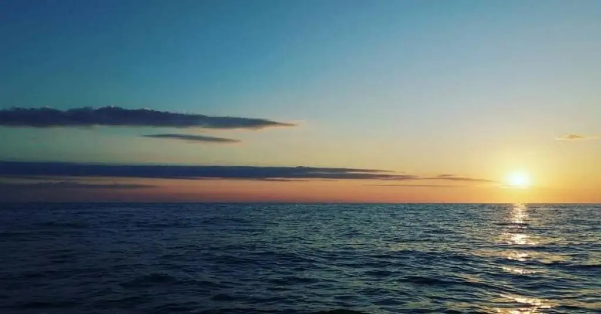 Apartments Dragišić