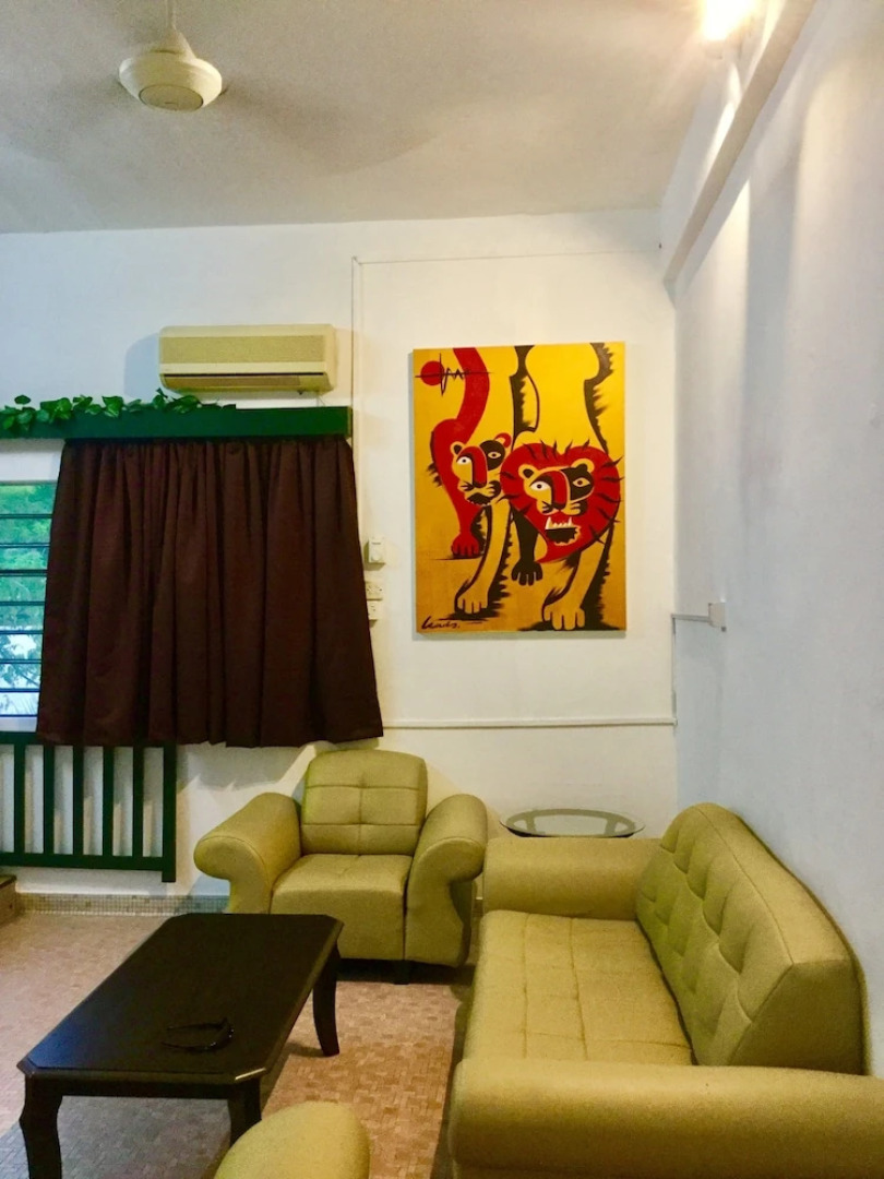 Sea Lion by the Beach