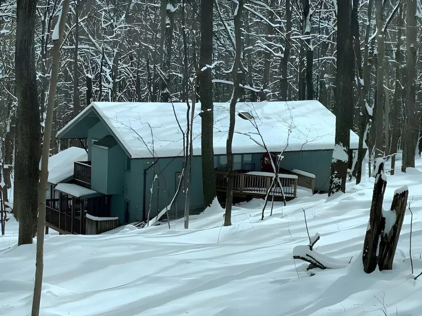 Autumn Wings - A Natural Retreat