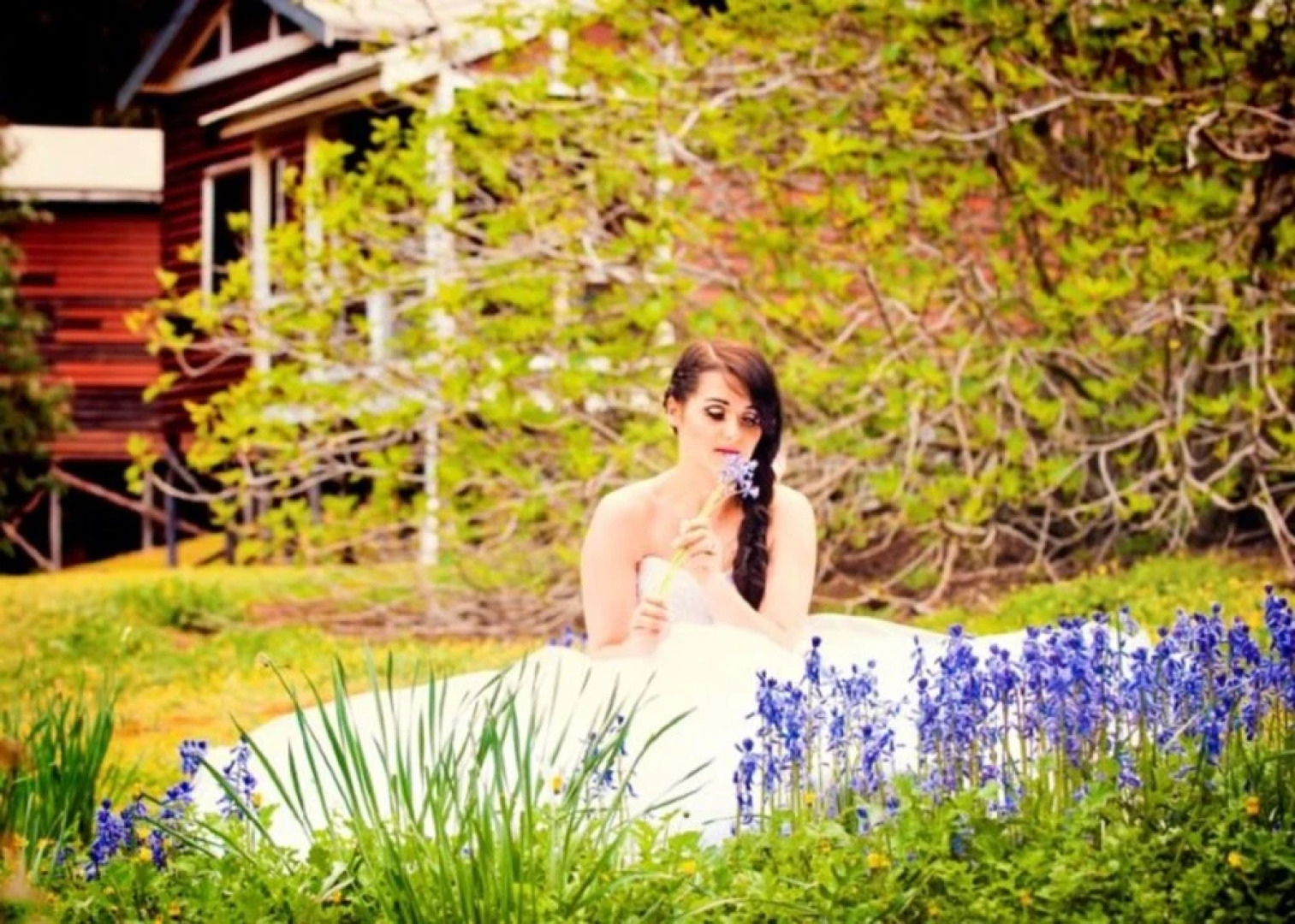 Wellington Forest Cottages & Conference Centre