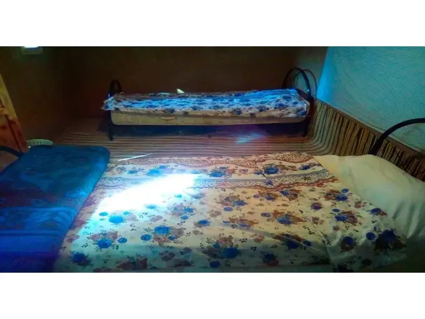 Locals Under Stars Trips