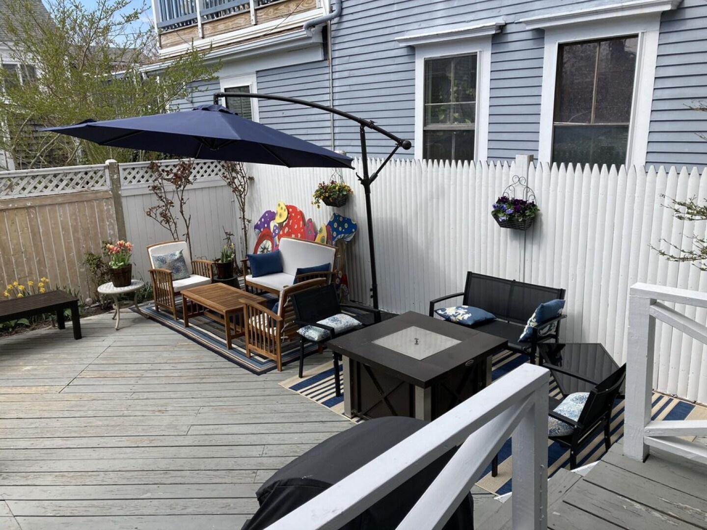 Prince Albert Provincetown