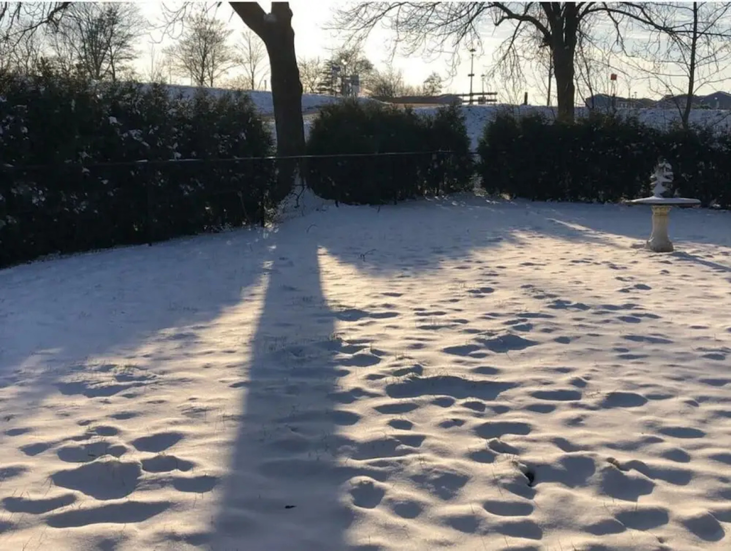 No Title Modern Retreat