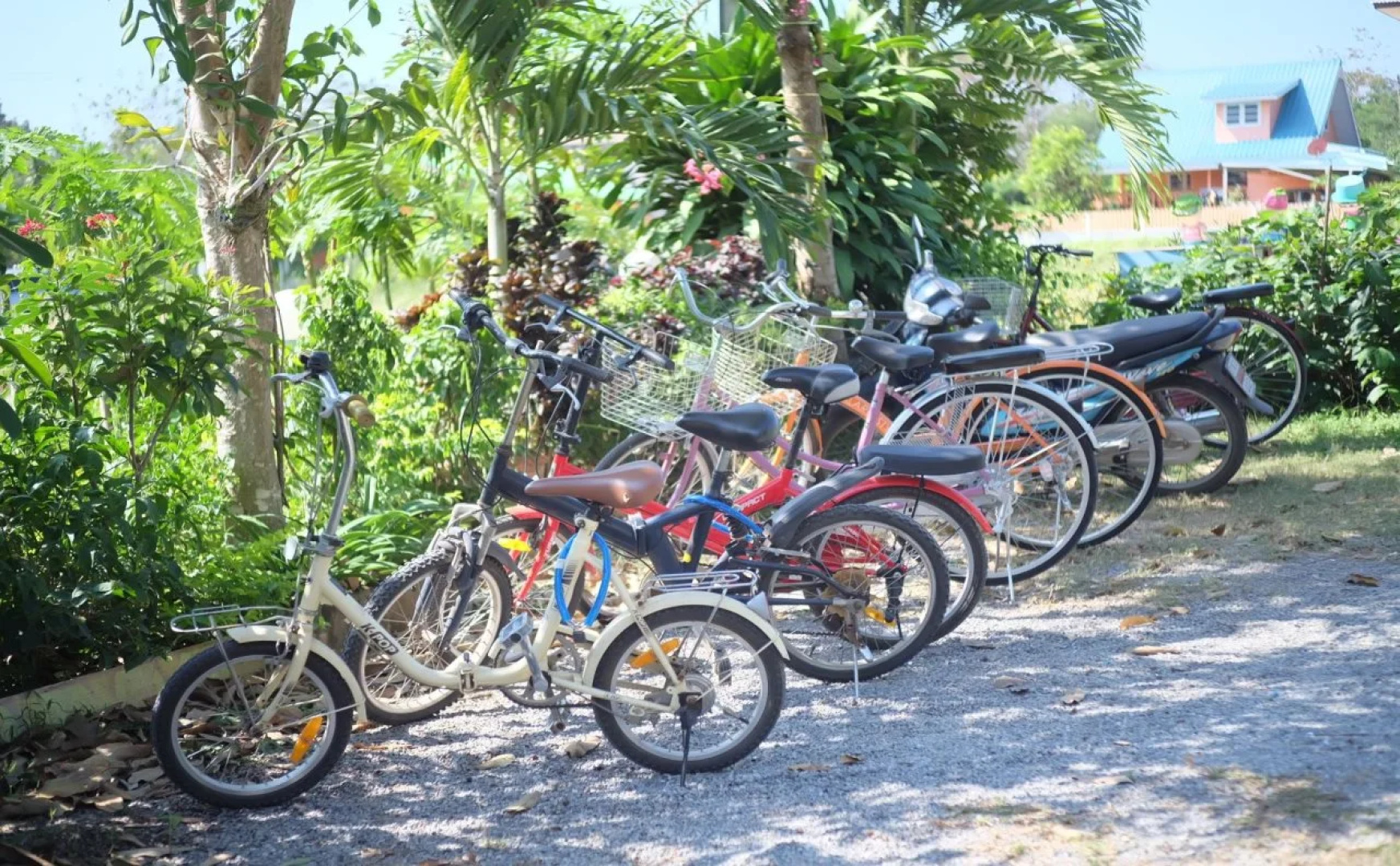A Houses Homestay