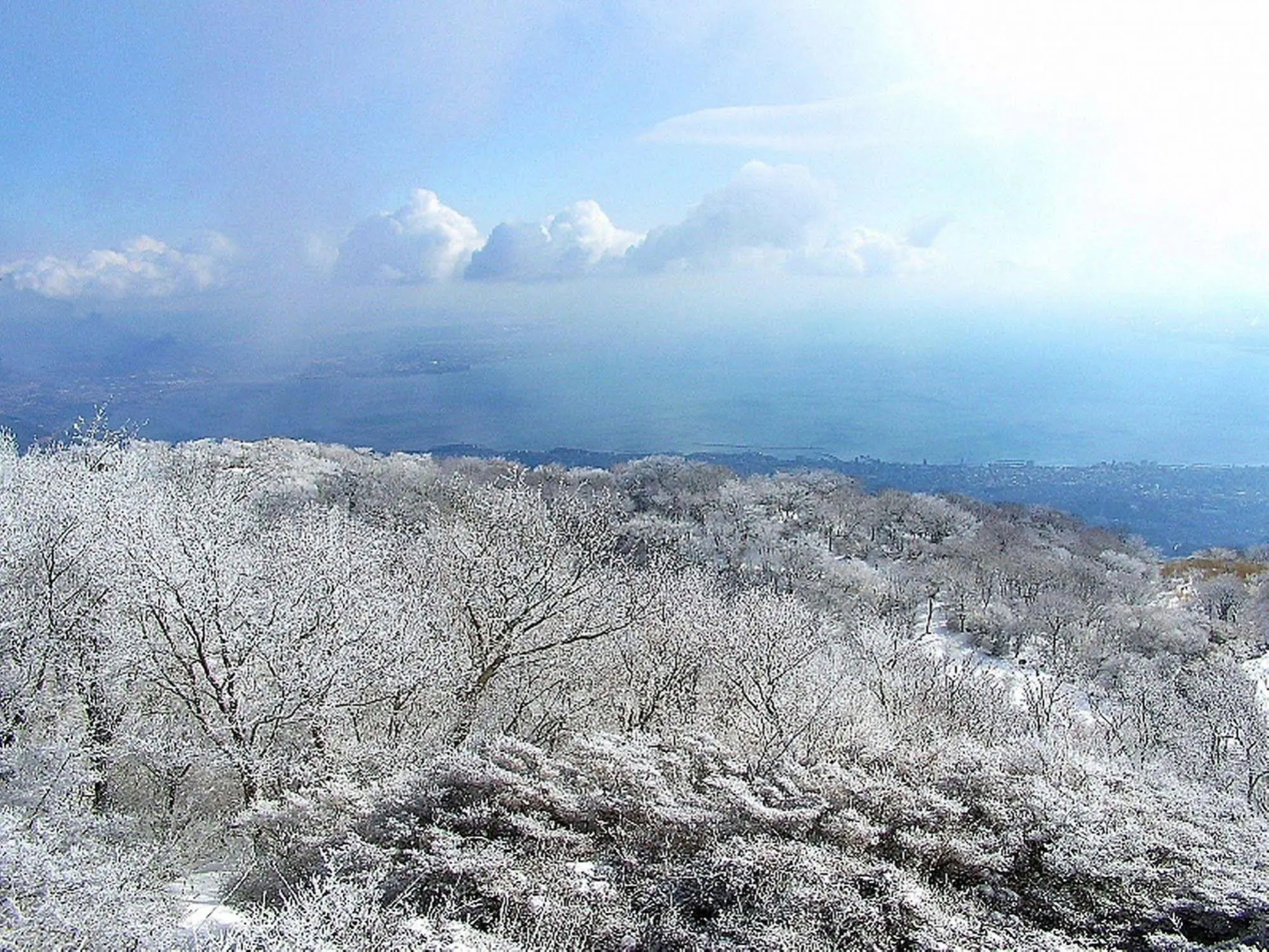 Beppu Fuga
