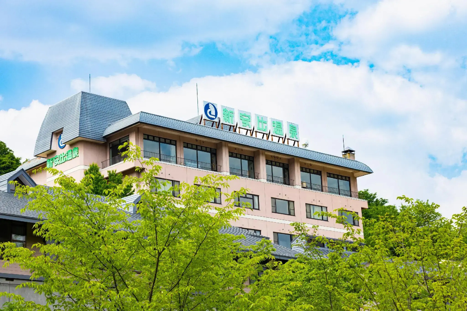 Shin Appi Onsen Seiryukaku