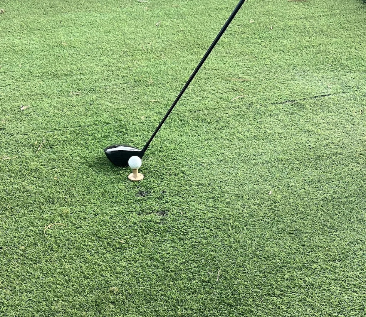 Chez Lilie Maison d'hôtes à Saly