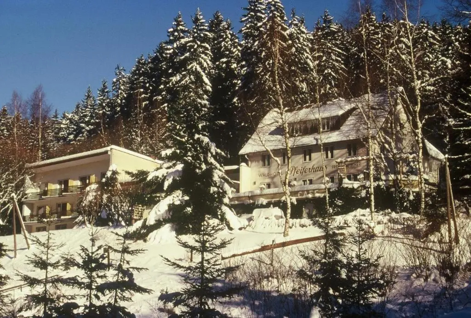 Waldhotel Pfeiferhaus