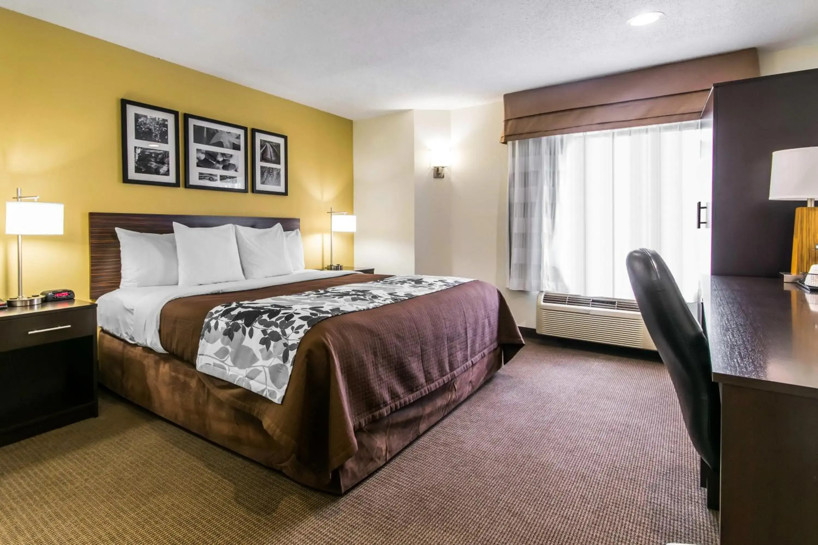 Sleep Inn Lexington