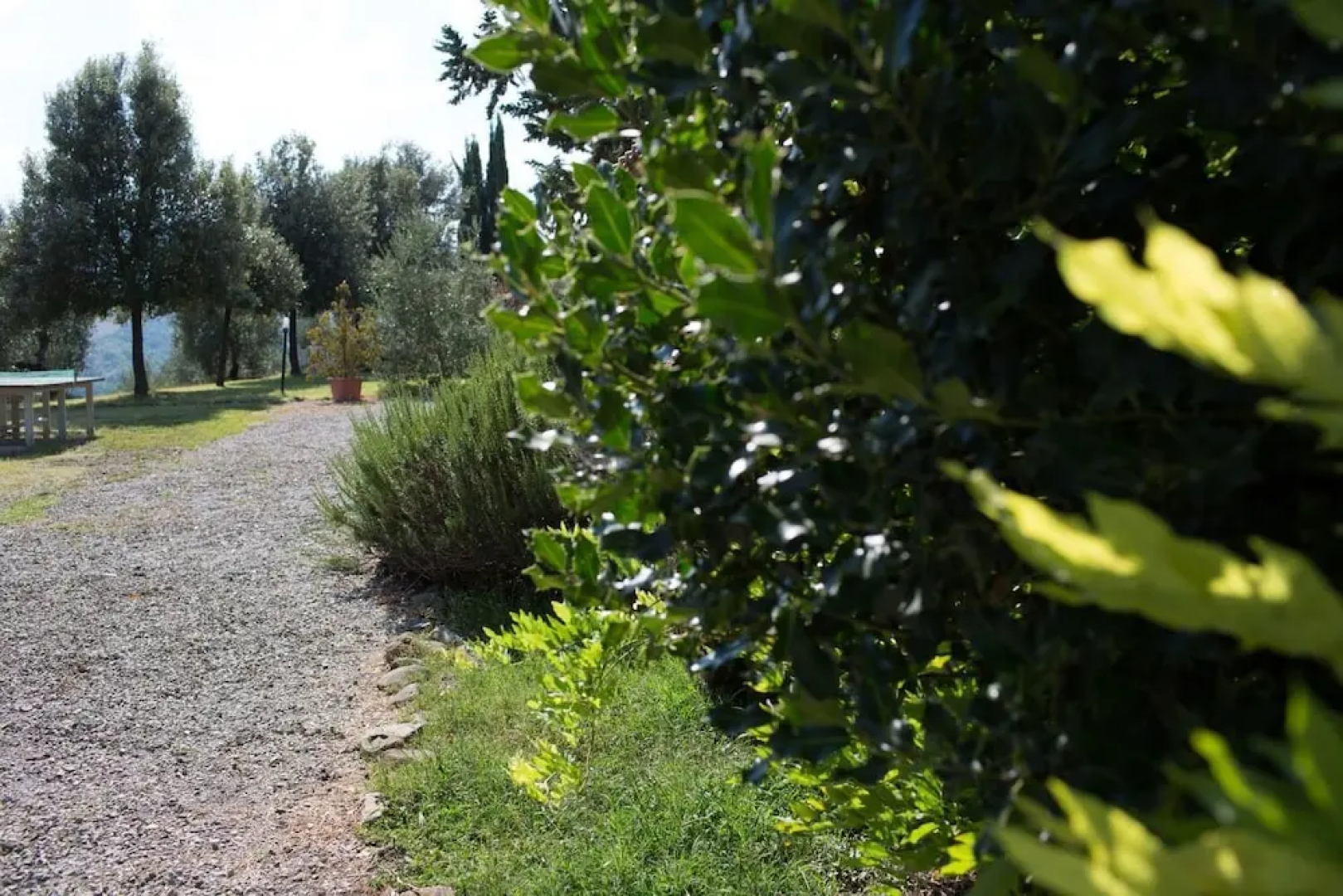 Agriturismo i Cascetti
