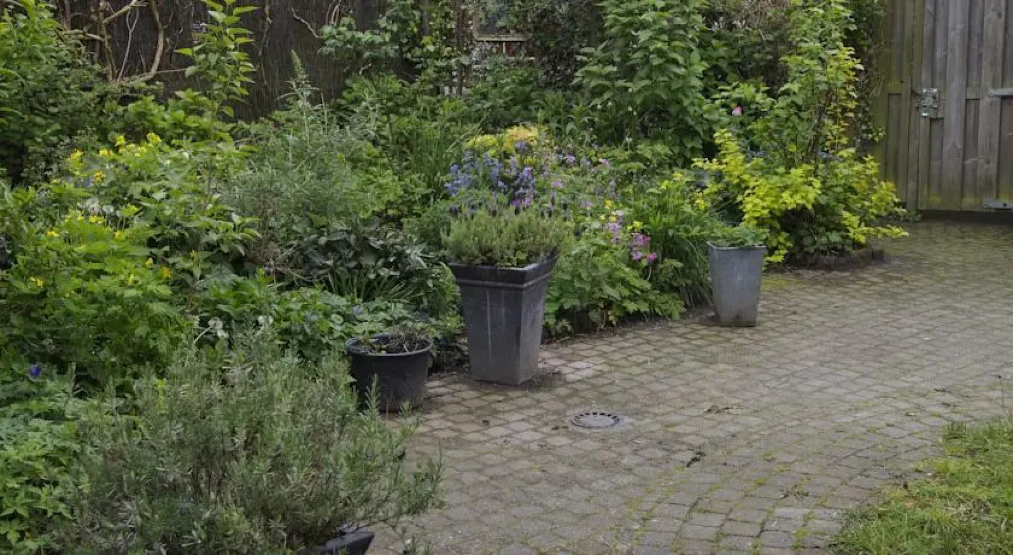 De Blauwe Hemel