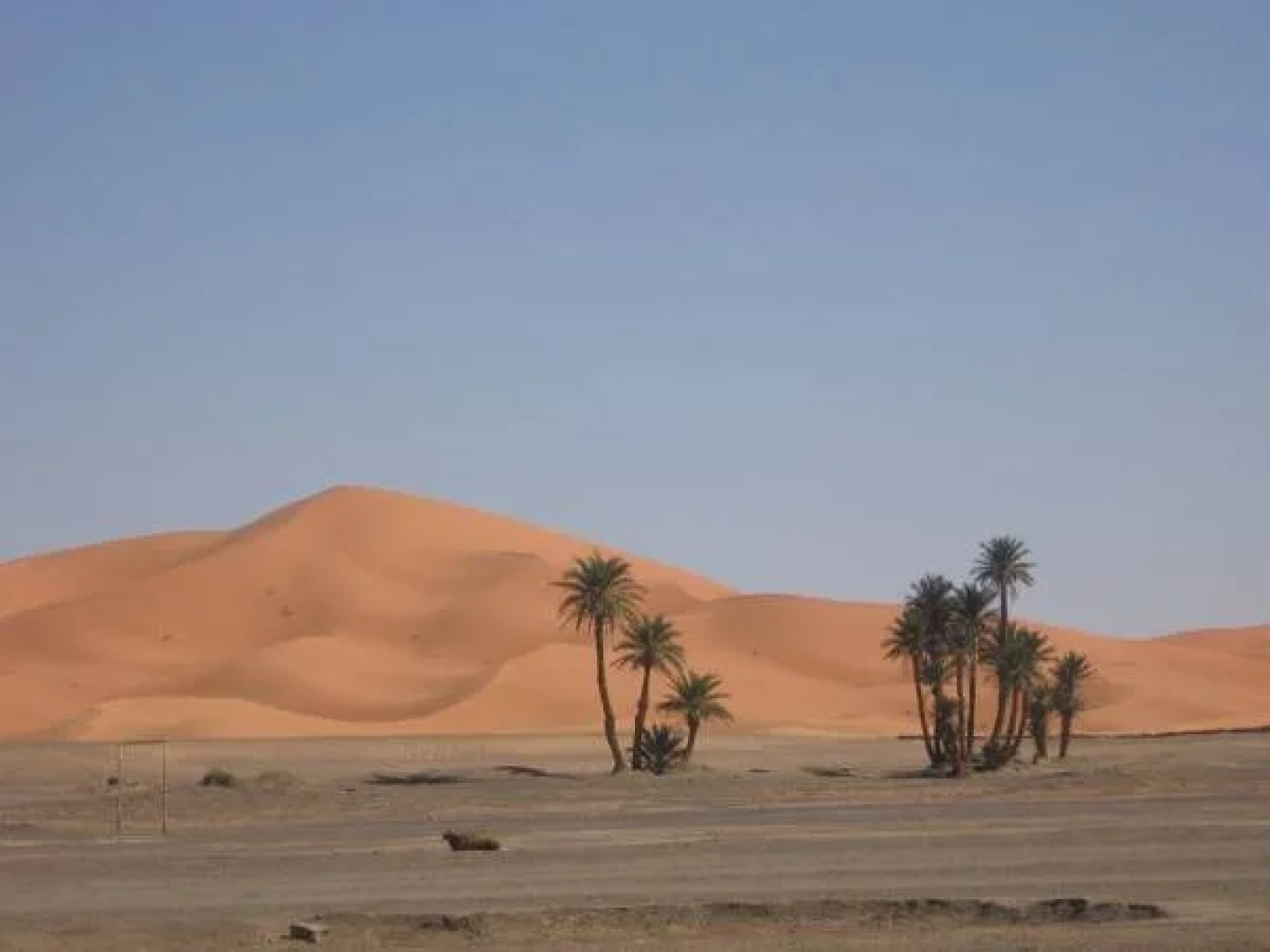 Maison Merzouga Guest House