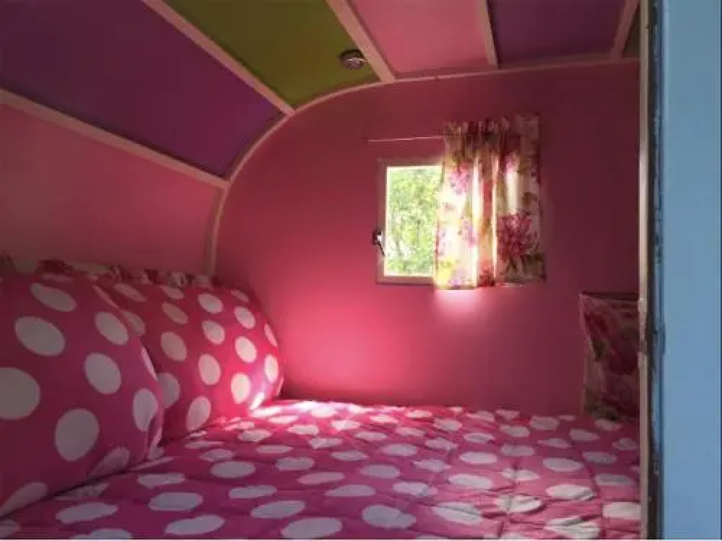 Follow The White Wabbit