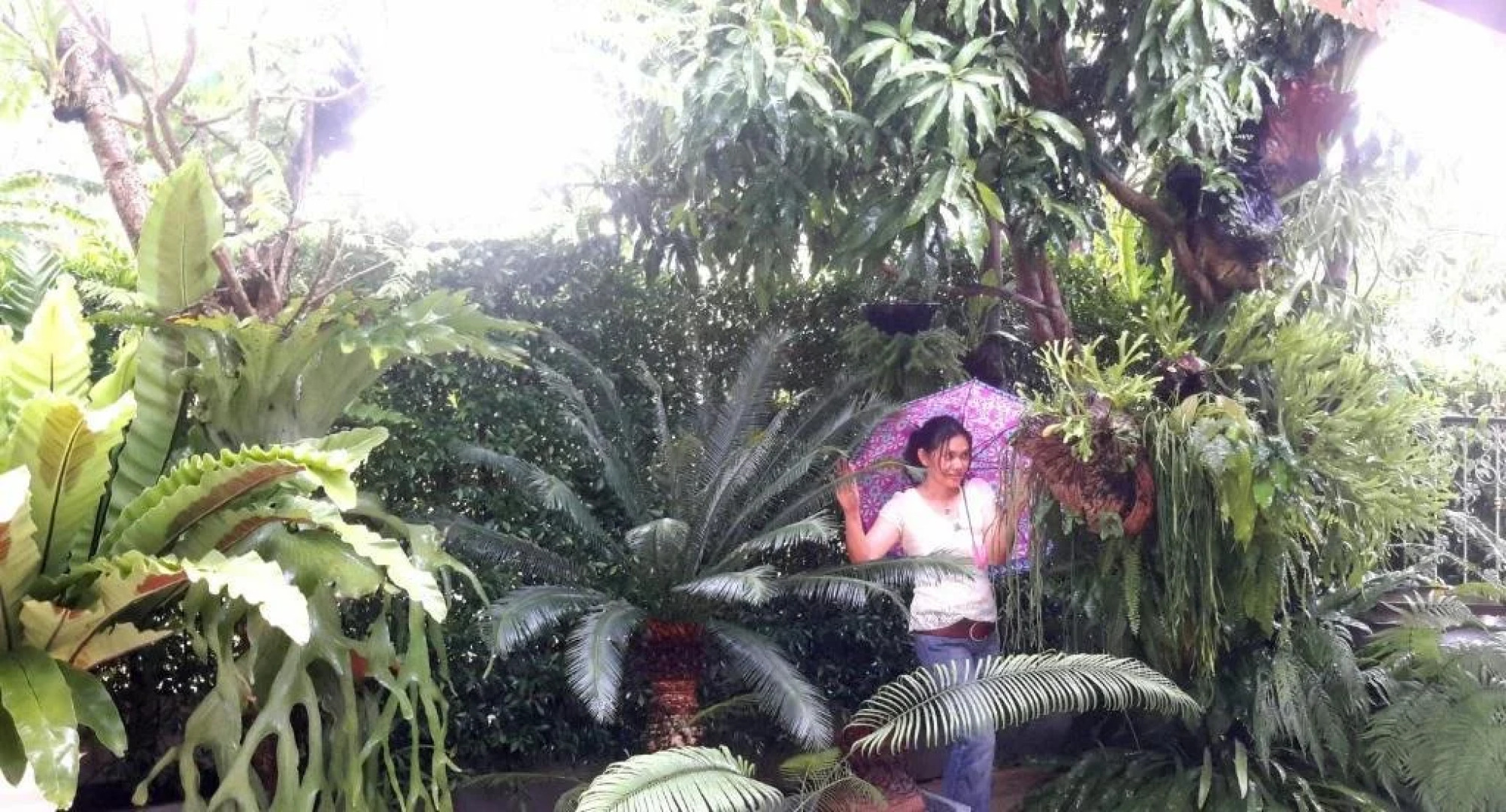 Maliwan Holiday Home