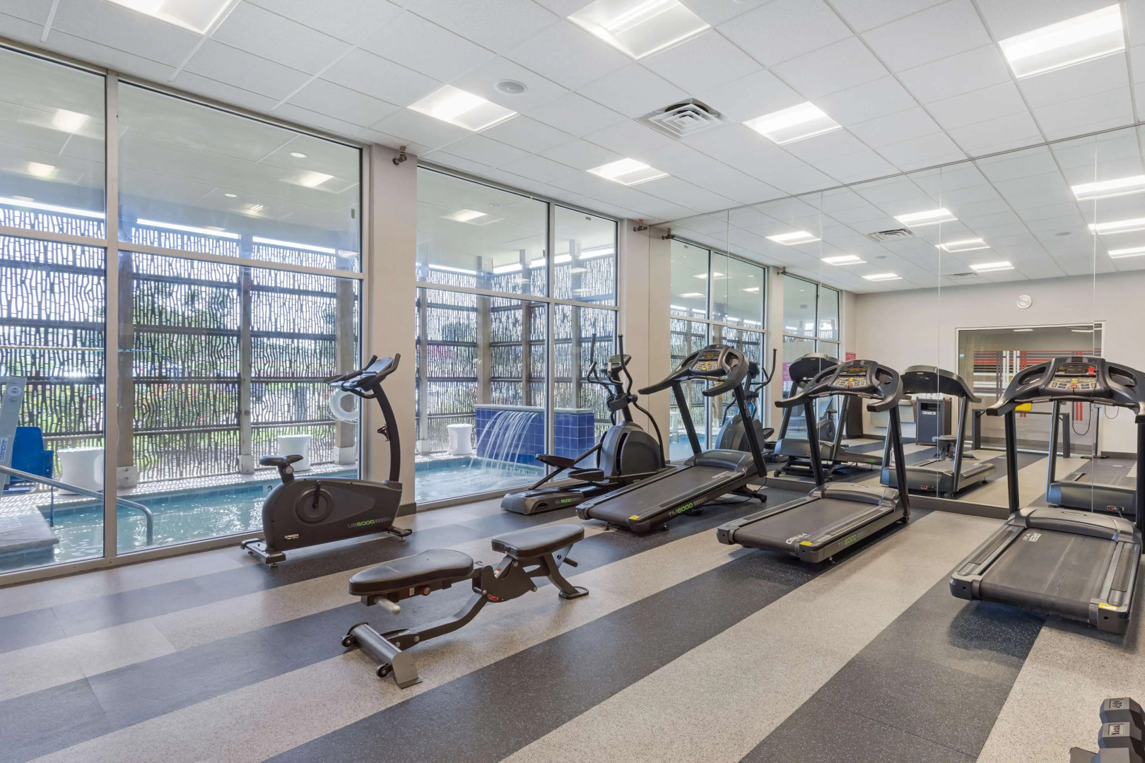 GLō Best Western Dallas South DeSoto