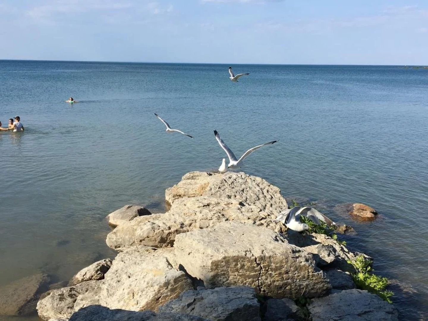 Moore's Mountain Lodge - Moore's Motel